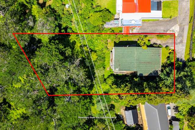 81 Don Buck Road Massey West_3