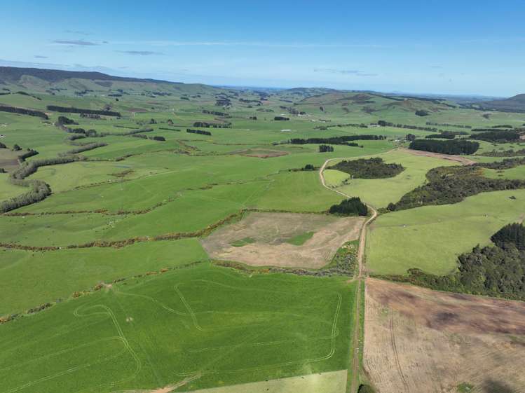 97 Marinui Road Quarry Hills_4