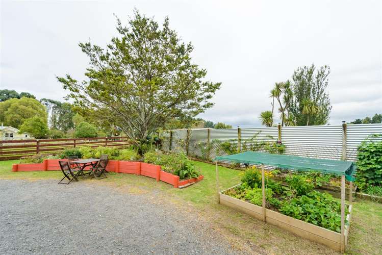 60 Johnson Street Bulls_12