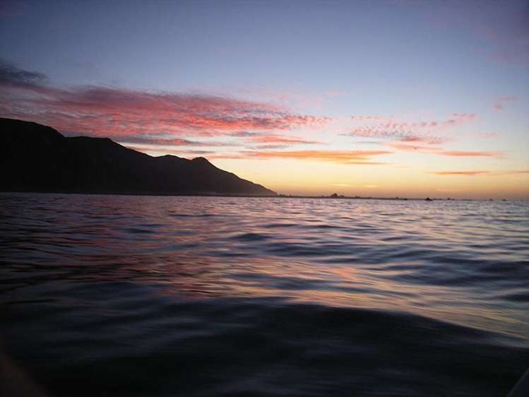 1 Mangatoetoe Grove Cape Palliser_14