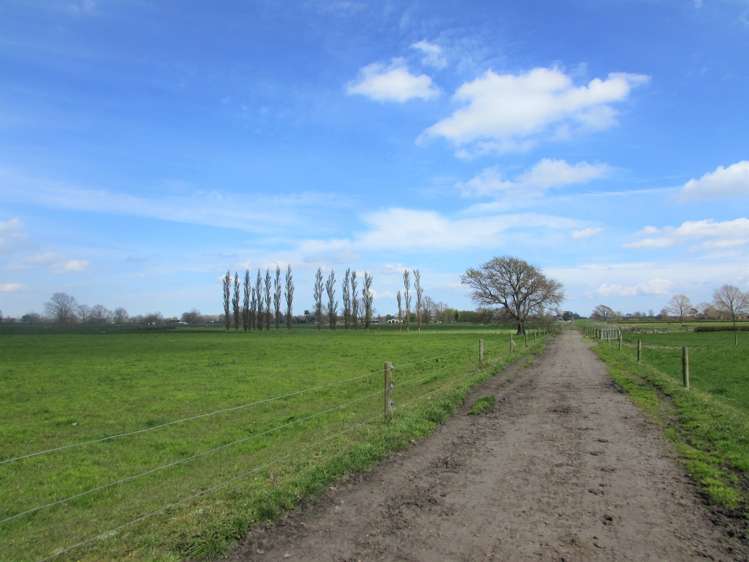 4183b State Highway 26 Waihou_11