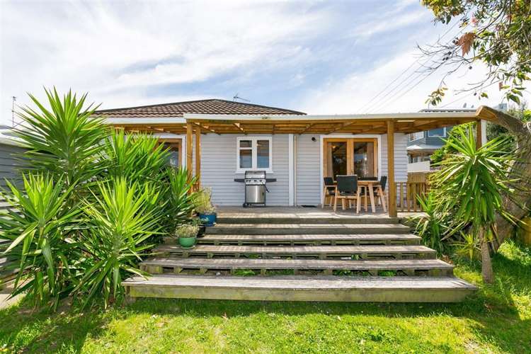 46a Camperdown Road Miramar_17