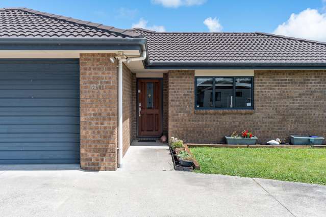 250C Mangapiko Street Te Awamutu_1
