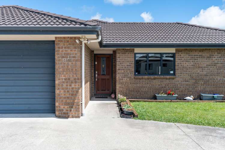 250C Mangapiko Street Te Awamutu_1