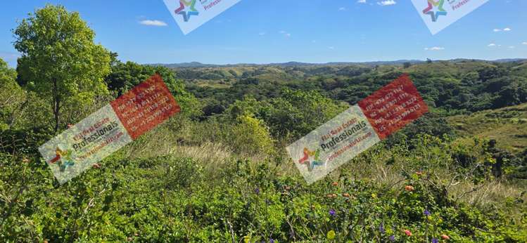 Address withheld Sigatoka_23