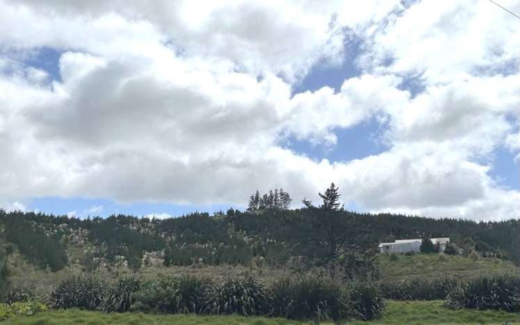 498 Pekerau Road_0