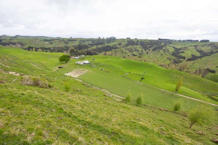 1250 Kaukatea Valley Road Okoia_7