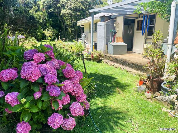 29 Cape Barrier Road Great Barrier Island (Aotea Island)_16