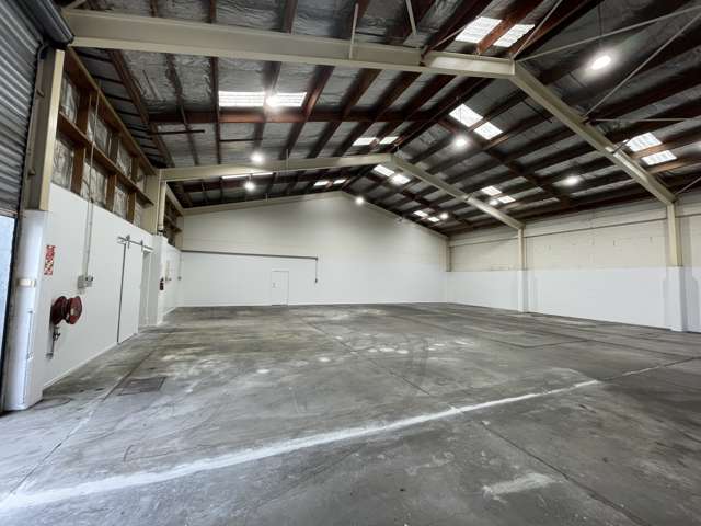 31 Carnegie Road Onekawa_4