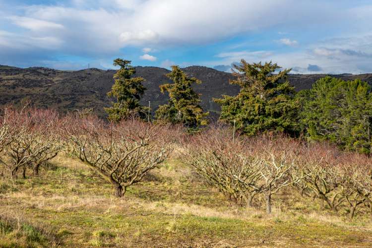 Ladysmith Road Roxburgh East_13