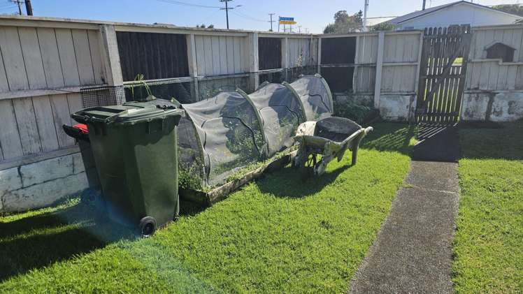 2 Saxton Road Upper Vogeltown_12