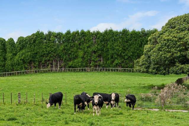 579 Belk Road Omanawa_3