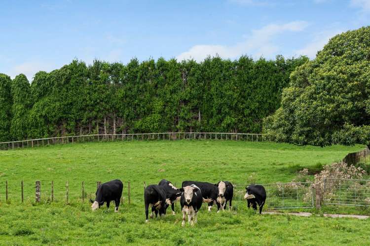 579 Belk Road Omanawa_3