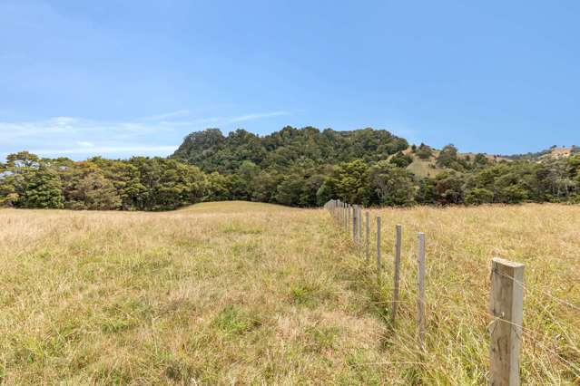 645 West Coast Road Makarau_4