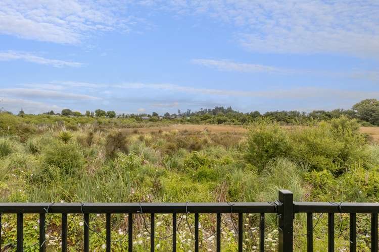 17 Hinaki Street Poike_21