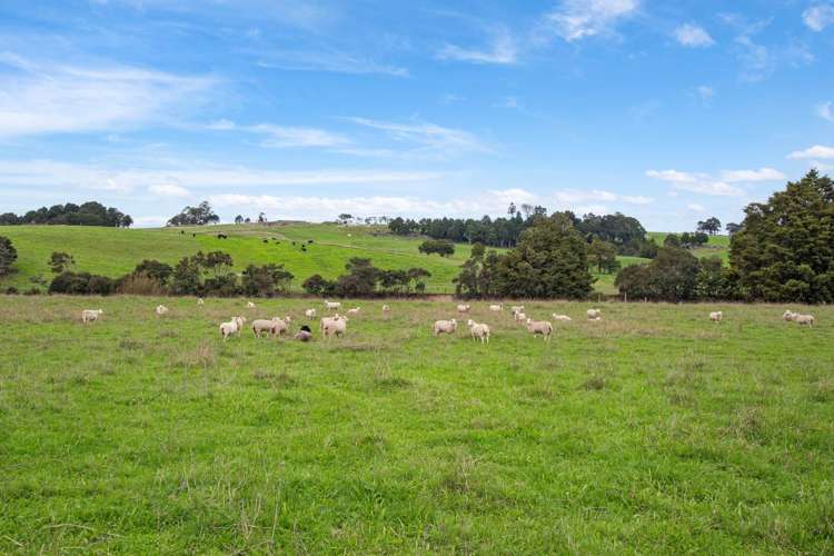 80 Lovell Road Ruatangata_11