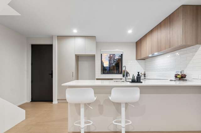 1/4 Burlington Street Sydenham_1