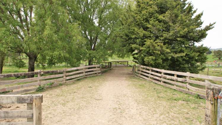 450 Ramaroa Road Aria_6