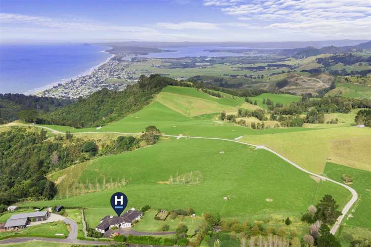 227 Heard Road Waihi_22