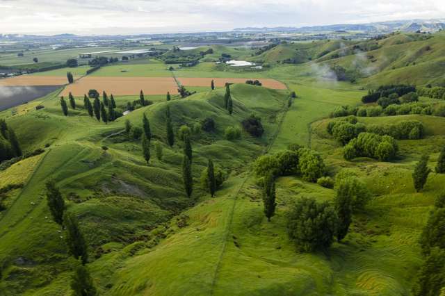Lavenham Road Waituhi_1