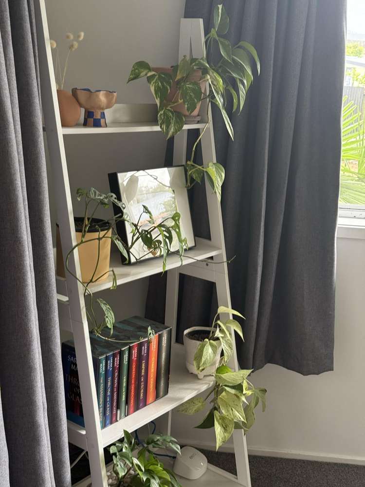 19a Couch Street Ngaruawahia_15