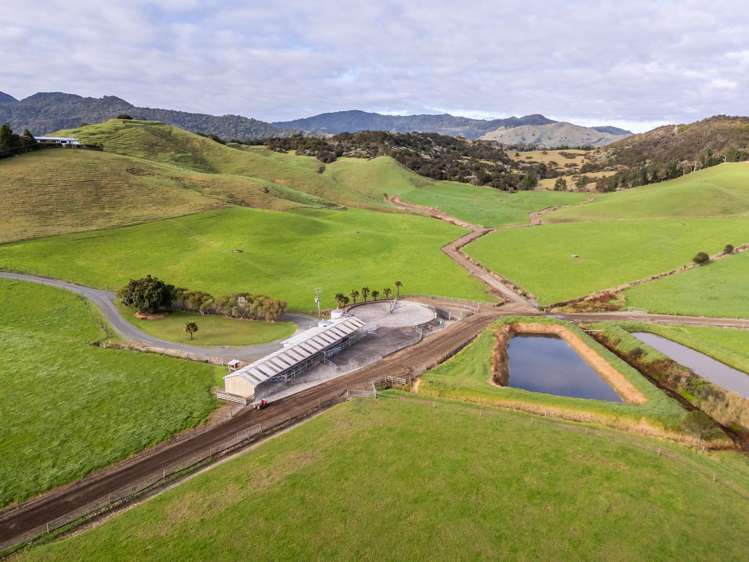 Crene Road Kaitaia_2