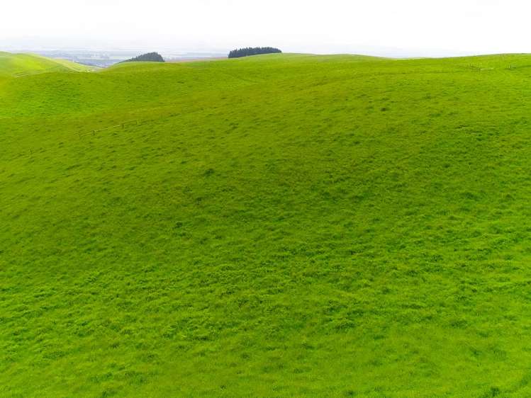 1471 Georgetown-Pukeuri Road Awamoko_10