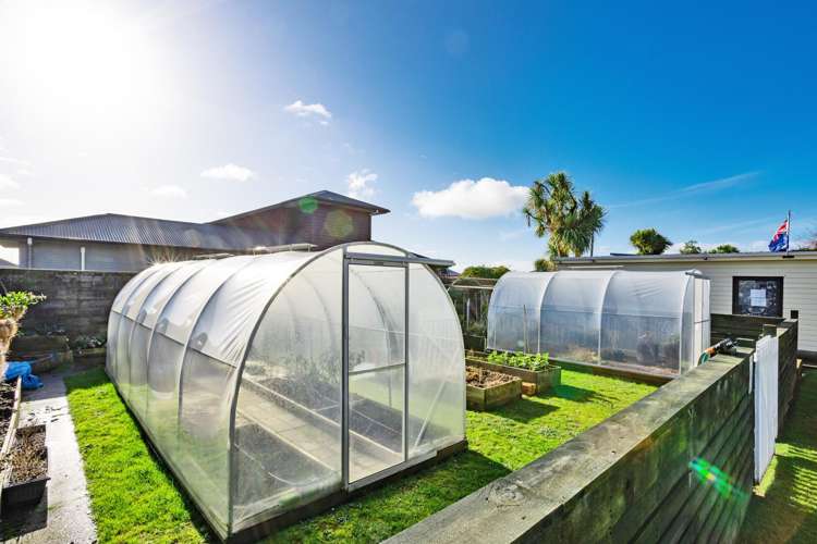 66 Totara Street Newfield_21