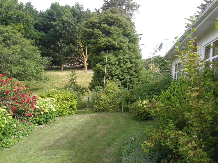 417 Waihaorunga Back Road Elephant Hill_12