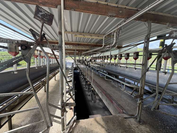 1026 Limeworks Loop Road Karamu_29