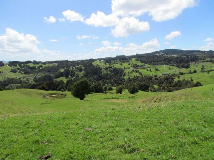 1871 State Highway 14 Mangapai and Surrounds_9