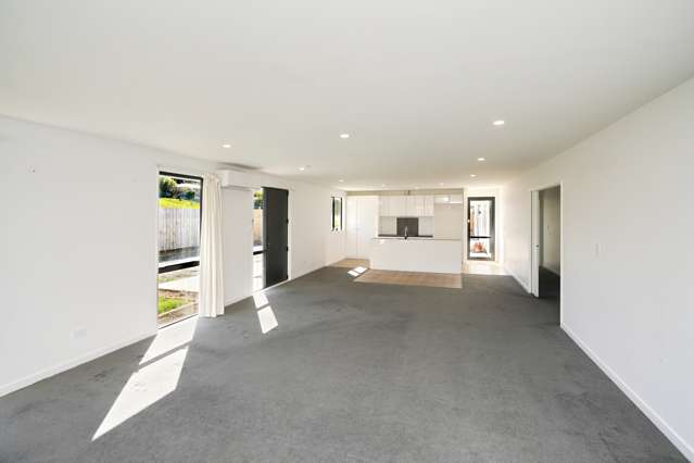 25A Osborne Street Amberley_1