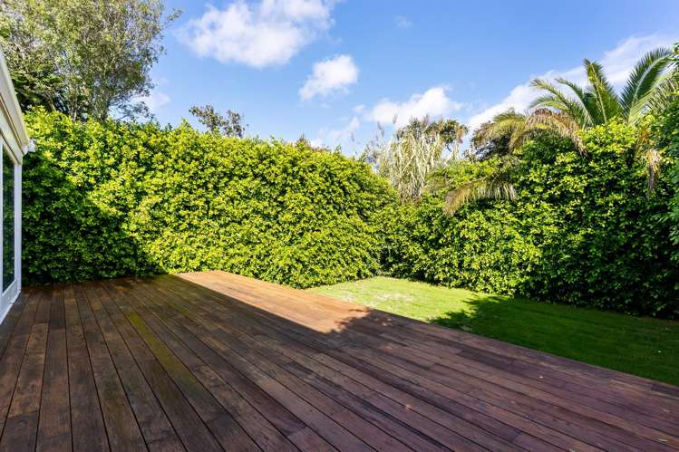 65 Albany Road Ponsonby_16