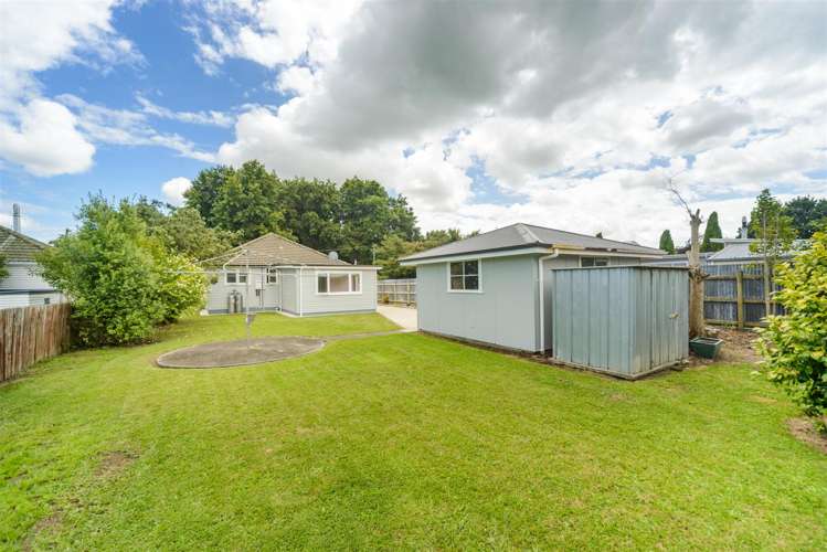 9 Bull Street Bulls_6