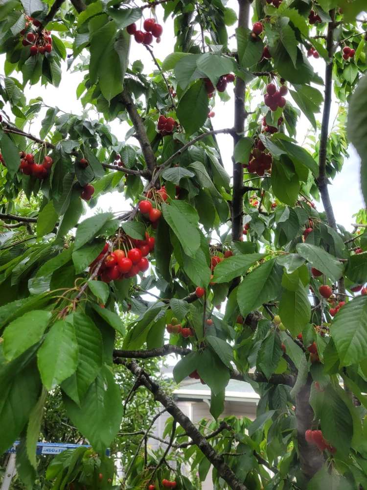 44 Woolshed Road Oamaru_29