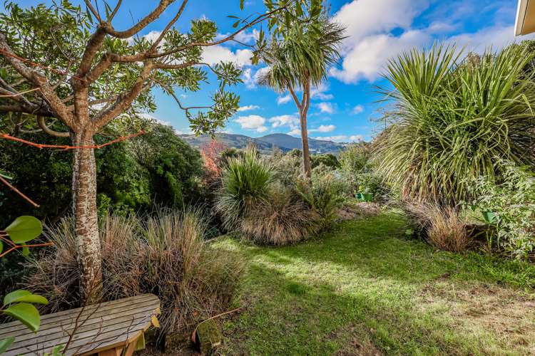 177 Evans Street Opoho_19