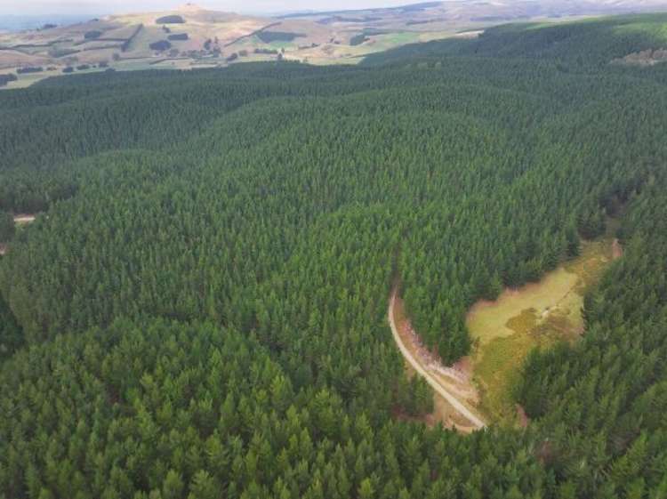 Address withheld Windsor - Waitaki District_3