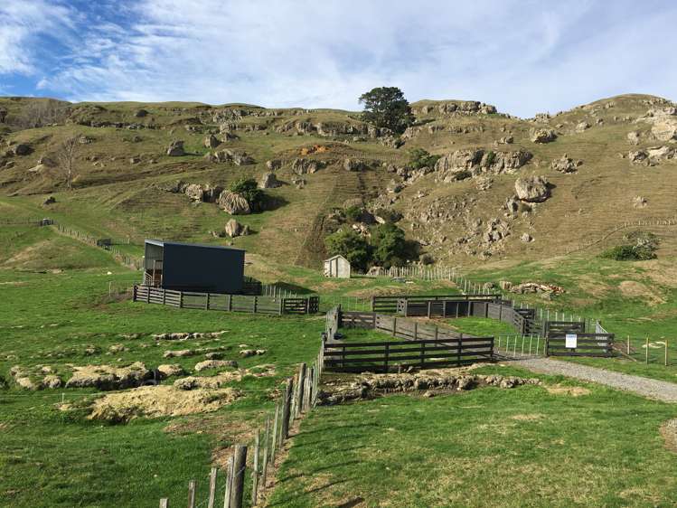 1275 Maraetotara Road Central Hawkes Bay Coastal_21