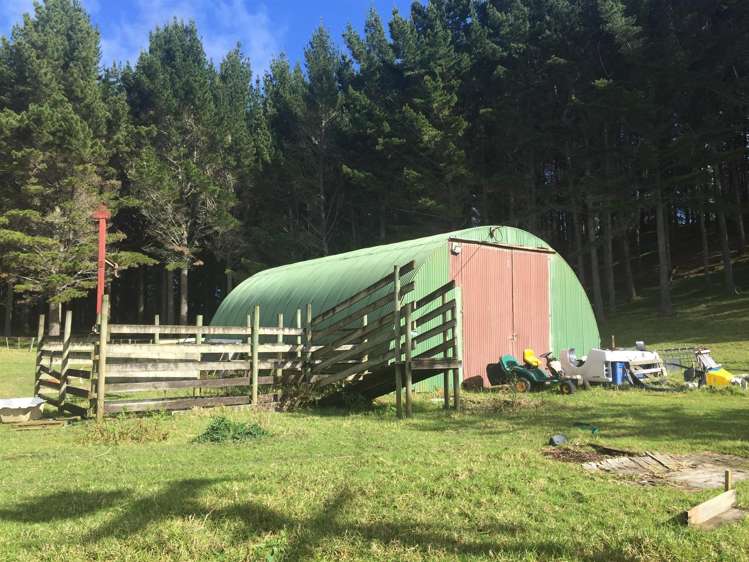 3944 Pouto Road Pouto_18