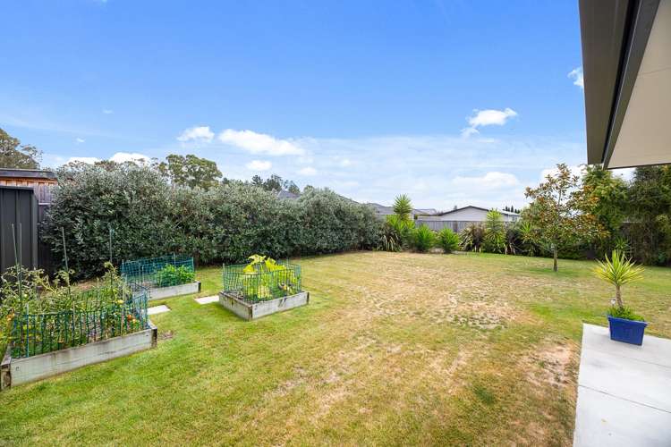 30 Maeburn Street Witherlea_36