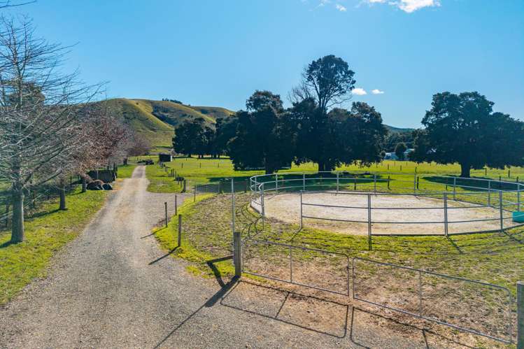 372 Wakefield-Kohatu Highway Wakefield_6