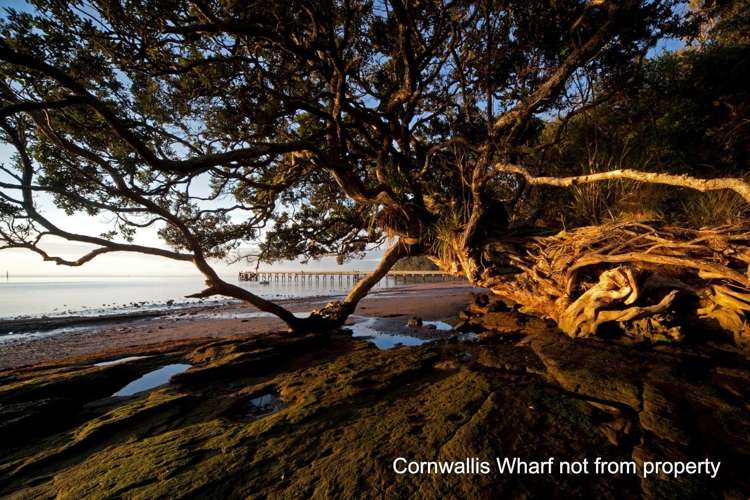 113 Cornwallis Road Cornwallis_16