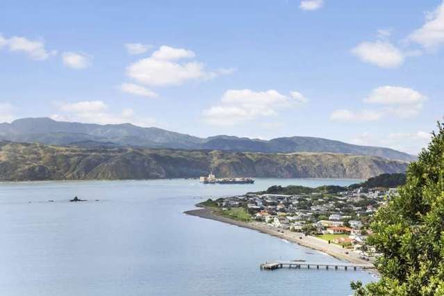 8 Khyber Road Seatoun_1