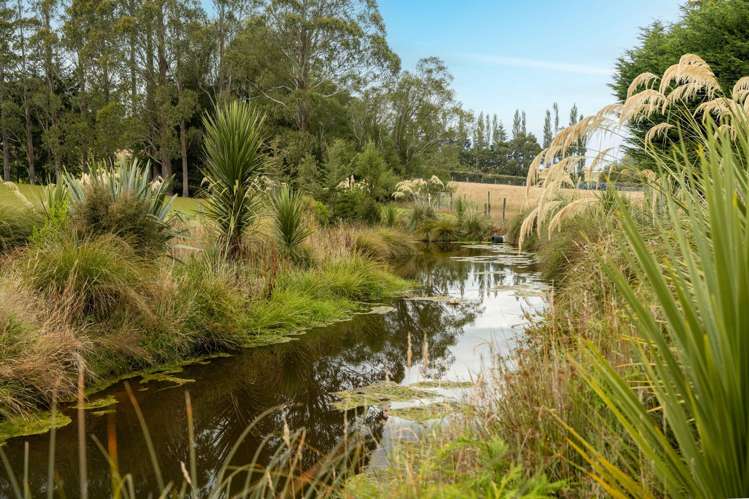 84 Cover Street Lumsden_7