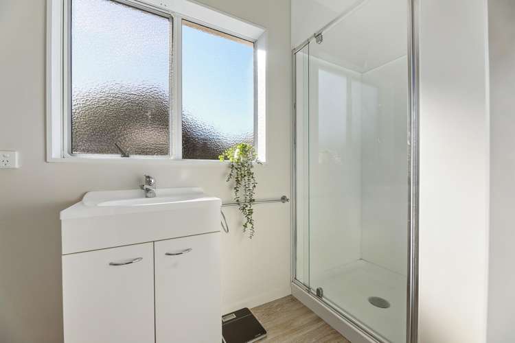 9a Owen Place Springlands_22