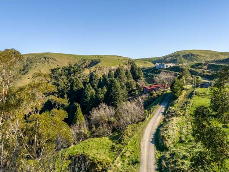 593A Kaka Amu Road Masterton_25