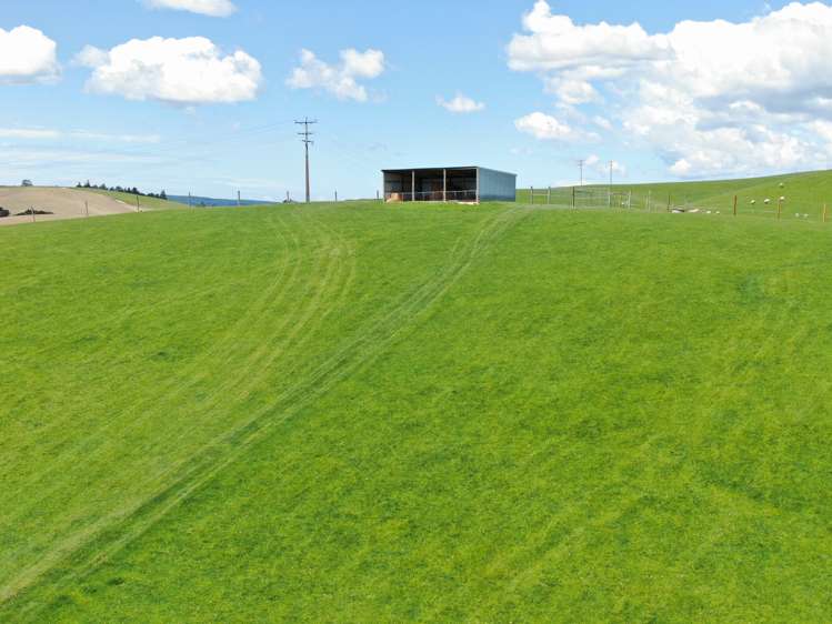 7 Clarks Flat Road Lawrence_17