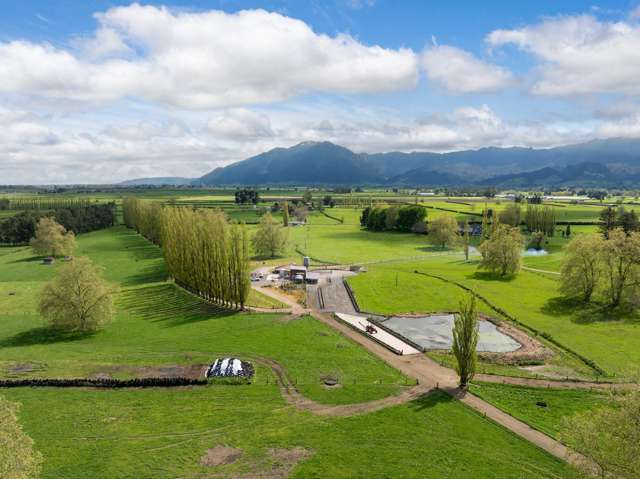 131 School Road Te Aroha_2