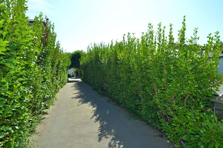 25a Harvey Terrace Richmond_4