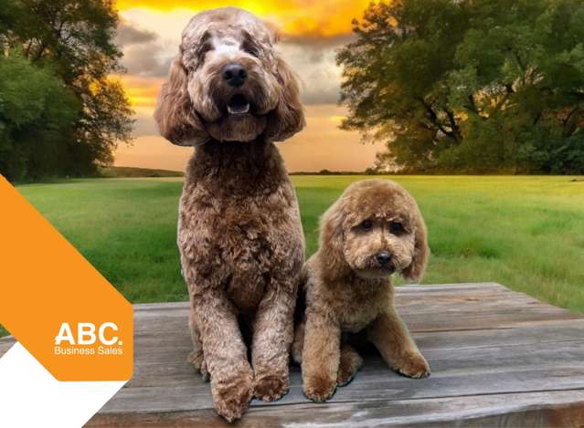 Paw-Some Grooming Business For Sale